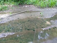 IMG_20200714_112759