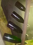Caves Pommery:  de vier maten van flessen