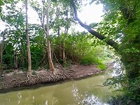 IMG_20200717_144054