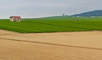 IMG_20200717_152210 (1)
