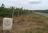 IMG_20200717_165735