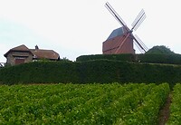 IMG_20200717_171429
