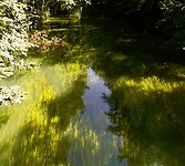 IMG_20200720_114127