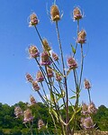 IMG_20200720_130018