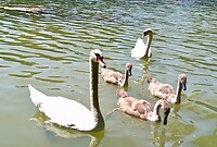 IMG_20200720_144531