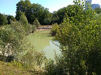 IMG_20200721_105639