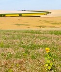 IMG_20200722_114512