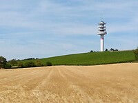IMG_20200722_115431