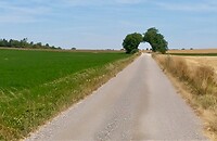 IMG_20200722_120859