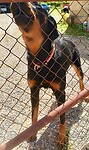 IMG_20200722_122101