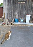 IMG_20200722_124039