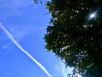 IMG_20200723_122220