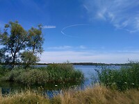 IMG_20200723_124239