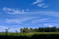 IMG_20200723_131748