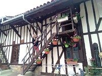 IMG_20200724_094558
