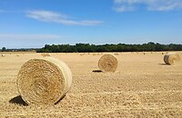 IMG_20200724_113002