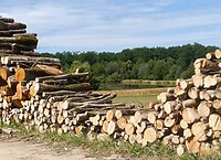 IMG_20200724_114920