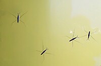 IMG_20200724_120653