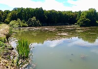 IMG_20200724_121031