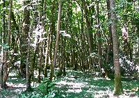 IMG_20200724_123116