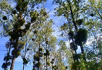 IMG_20200724_123445