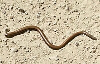 IMG_20200724_123750