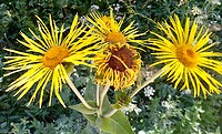 IMG_20200724_124313