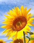 IMG_20200724_125232