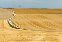 IMG_20200725_112109
