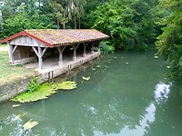 IMG_20200726_074446