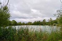 IMG_20200726_084302
