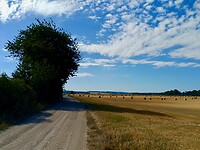 IMG_20200727_095338