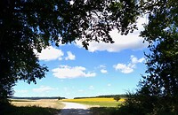 IMG_20200727_113546