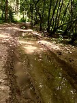IMG_20200728_152721