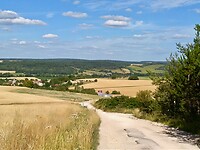 IMG_20200728_172152