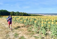 IMG_20200729_094622 (1)