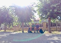 IMG_20200729_100733