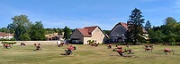 IMG_20200729_103124