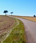 IMG_20200730_101326