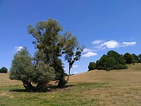 IMG_20200801_134940