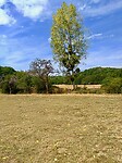 IMG_20200802_130458