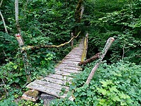 IMG_20200803_105014