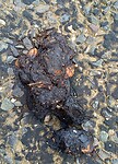 IMG_20200803_160604