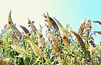 IMG_20200804_105602