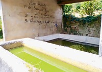 IMG_20200804_131357