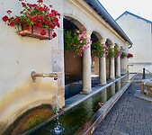 IMG_20200805_090637