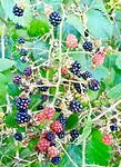 IMG_20200805_193400