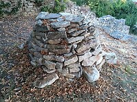 IMG_20200805_203736