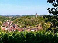 IMG_20200806_093645