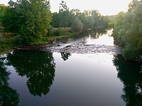 IMG_20200806_204658 (1)